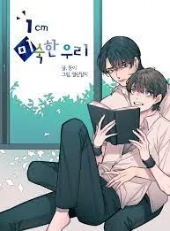 1Cm Inexperienced Us