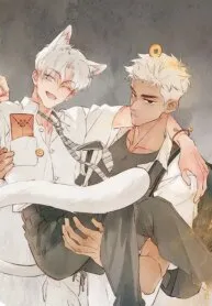 A Whimsical Campus Rom-Com