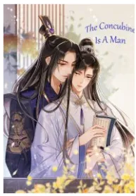 The Concubine Is A Man