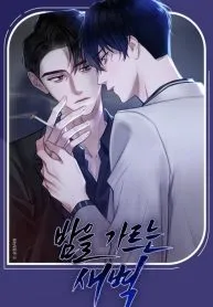 The Dawn Split The Night | ilovecheetos