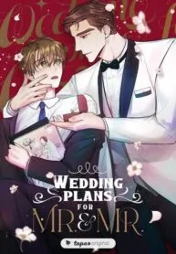 Wedding Plans for Mr. & Mr